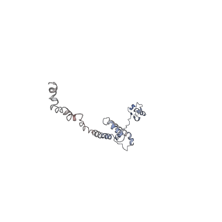 10624_6xu8_CR_v1-2
Drosophila melanogaster Ovary 80S ribosome
