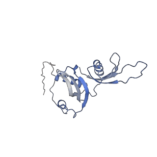 10624_6xu8_CS_v1-2
Drosophila melanogaster Ovary 80S ribosome
