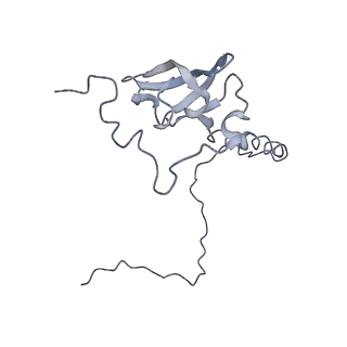 10624_6xu8_CT_v1-2
Drosophila melanogaster Ovary 80S ribosome