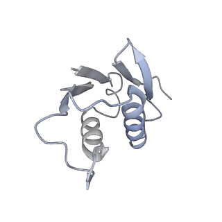10624_6xu8_CU_v1-2
Drosophila melanogaster Ovary 80S ribosome