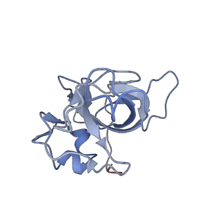 10624_6xu8_CV_v1-2
Drosophila melanogaster Ovary 80S ribosome