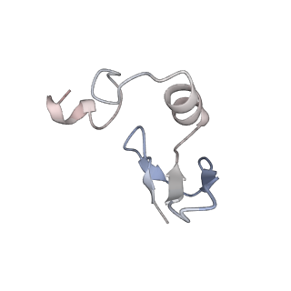 10624_6xu8_CW_v1-2
Drosophila melanogaster Ovary 80S ribosome