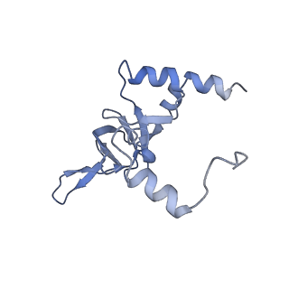 10624_6xu8_CY_v1-2
Drosophila melanogaster Ovary 80S ribosome
