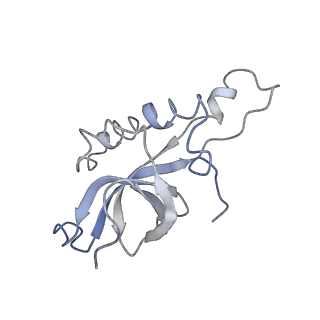 10624_6xu8_CZ_v1-2
Drosophila melanogaster Ovary 80S ribosome