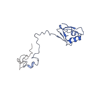 10624_6xu8_Ca_v1-2
Drosophila melanogaster Ovary 80S ribosome