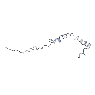 10624_6xu8_Cb_v1-2
Drosophila melanogaster Ovary 80S ribosome