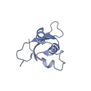 10624_6xu8_Cd_v1-2
Drosophila melanogaster Ovary 80S ribosome