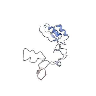 10624_6xu8_Ce_v1-2
Drosophila melanogaster Ovary 80S ribosome