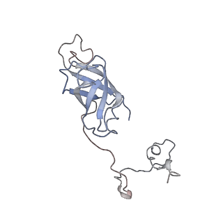 10624_6xu8_Cf_v1-2
Drosophila melanogaster Ovary 80S ribosome