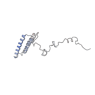 10624_6xu8_Ch_v1-2
Drosophila melanogaster Ovary 80S ribosome