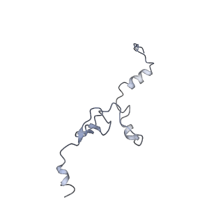 10624_6xu8_Cj_v1-2
Drosophila melanogaster Ovary 80S ribosome