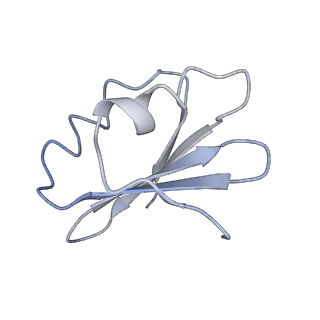 10624_6xu8_Ck_v1-2
Drosophila melanogaster Ovary 80S ribosome