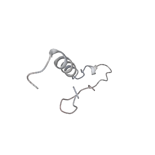 10624_6xu8_Cl_v1-2
Drosophila melanogaster Ovary 80S ribosome