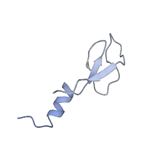 10624_6xu8_Cm_v1-2
Drosophila melanogaster Ovary 80S ribosome