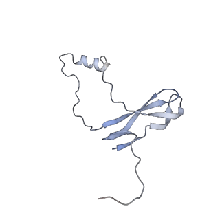 10624_6xu8_Co_v1-2
Drosophila melanogaster Ovary 80S ribosome