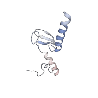 10624_6xu8_Cp_v1-2
Drosophila melanogaster Ovary 80S ribosome