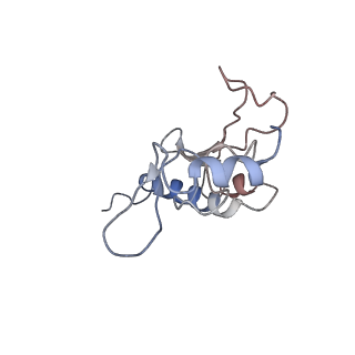 10624_6xu8_Cr_v1-2
Drosophila melanogaster Ovary 80S ribosome