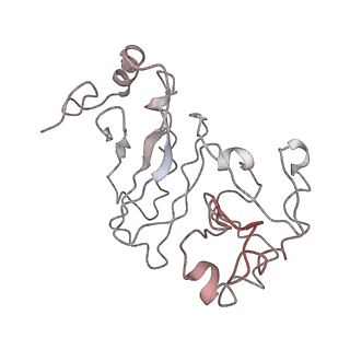 10624_6xu8_Cz_v1-2
Drosophila melanogaster Ovary 80S ribosome