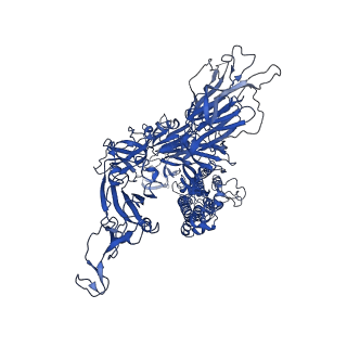 33455_7xu1_B_v1-1
Structure of SARS-CoV-2 Spike Protein with Engineered x3 Disulfide (x3(D427C, V987C) and single Arg S1/S2 cleavage site), Locked-122 Conformation