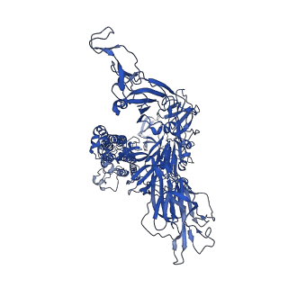 33455_7xu1_C_v1-1
Structure of SARS-CoV-2 Spike Protein with Engineered x3 Disulfide (x3(D427C, V987C) and single Arg S1/S2 cleavage site), Locked-122 Conformation