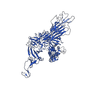 33456_7xu2_B_v1-1
Structure of SARS-CoV-2 Spike Protein with Engineered x3 Disulfide (x3(D427C, V987C) and single Arg S1/S2 cleavage site), Locked-2 Conformation