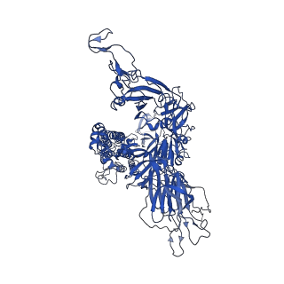 33456_7xu2_C_v1-1
Structure of SARS-CoV-2 Spike Protein with Engineered x3 Disulfide (x3(D427C, V987C) and single Arg S1/S2 cleavage site), Locked-2 Conformation