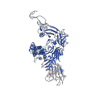 33457_7xu3_C_v1-1
Structure of SARS-CoV-2 Spike Protein with Engineered x3 Disulfide (x3(D427C, V987C) and single Arg S1/S2 cleavage site), Closed Conformation