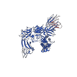 33459_7xu5_B_v1-1
Structure of SARS-CoV-2 D614G Spike Protein with Engineered x3 Disulfide (x3(D427C, V987C) and single Arg S1/S2 cleavage site), Closed Conformation