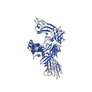 33459_7xu5_C_v1-1
Structure of SARS-CoV-2 D614G Spike Protein with Engineered x3 Disulfide (x3(D427C, V987C) and single Arg S1/S2 cleavage site), Closed Conformation