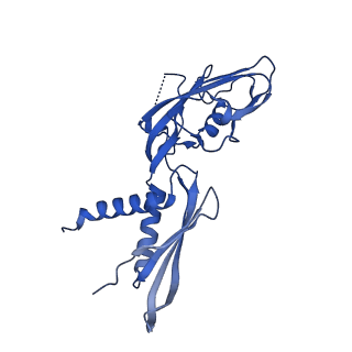 33466_7xue_G_v1-1
Cryo-EM structure of HK022 putRNA-associated E.coli RNA polymerase elongation complex