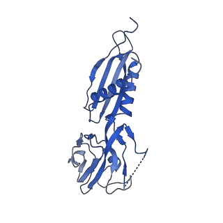 33466_7xue_H_v1-1
Cryo-EM structure of HK022 putRNA-associated E.coli RNA polymerase elongation complex