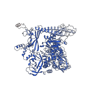 33466_7xue_I_v1-1
Cryo-EM structure of HK022 putRNA-associated E.coli RNA polymerase elongation complex