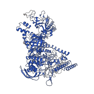 33466_7xue_J_v1-1
Cryo-EM structure of HK022 putRNA-associated E.coli RNA polymerase elongation complex