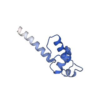 33466_7xue_K_v1-1
Cryo-EM structure of HK022 putRNA-associated E.coli RNA polymerase elongation complex