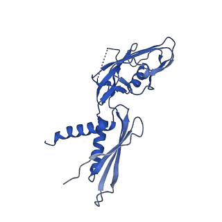 33468_7xug_G_v1-1
cryo-EM structure of HK022 putRNA-less E.coli RNA polymerase elongation complex