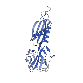 33468_7xug_H_v1-1
cryo-EM structure of HK022 putRNA-less E.coli RNA polymerase elongation complex