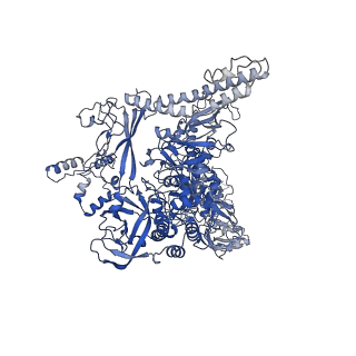 33468_7xug_I_v1-1
cryo-EM structure of HK022 putRNA-less E.coli RNA polymerase elongation complex
