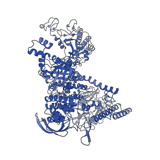33468_7xug_J_v1-1
cryo-EM structure of HK022 putRNA-less E.coli RNA polymerase elongation complex