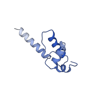 33468_7xug_K_v1-1
cryo-EM structure of HK022 putRNA-less E.coli RNA polymerase elongation complex
