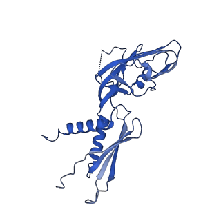 33470_7xui_G_v1-1
Cryo-EM structure of sigma70 bound HK022 putRNA-associated E.coli RNA polymerase elongation complex