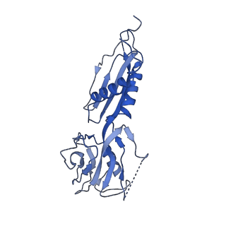 33470_7xui_H_v1-1
Cryo-EM structure of sigma70 bound HK022 putRNA-associated E.coli RNA polymerase elongation complex