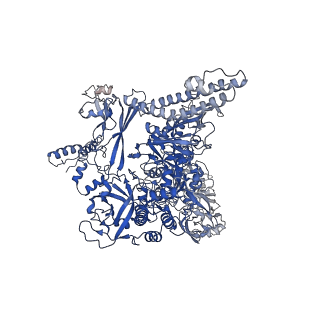 33470_7xui_I_v1-1
Cryo-EM structure of sigma70 bound HK022 putRNA-associated E.coli RNA polymerase elongation complex