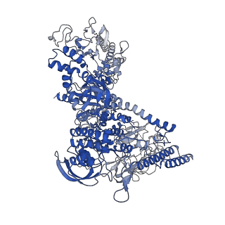 33470_7xui_J_v1-1
Cryo-EM structure of sigma70 bound HK022 putRNA-associated E.coli RNA polymerase elongation complex