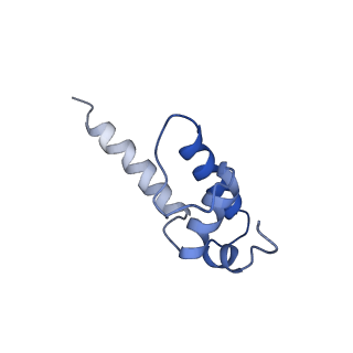 33470_7xui_K_v1-1
Cryo-EM structure of sigma70 bound HK022 putRNA-associated E.coli RNA polymerase elongation complex