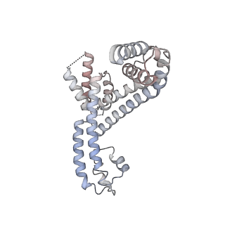 33470_7xui_L_v1-1
Cryo-EM structure of sigma70 bound HK022 putRNA-associated E.coli RNA polymerase elongation complex