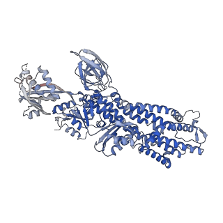 33472_7xuk_A_v1-1
Structure of ATP7B C983S/C985S/D1027A mutant in presence of ATOX1