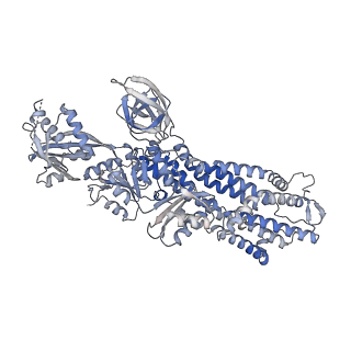 33474_7xum_A_v1-0
Structure of ATP7B C983S/C985S/D1027A mutant with Cu+ in presence of ATOX1