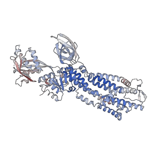 33475_7xun_A_v1-1
Structure of ATP7B C983S/C985S/D1027A mutant