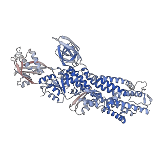 33476_7xuo_A_v1-1
Structure of ATP7B C983S/C985S/D1027A mutant with cisplatin in presence of ATOX1