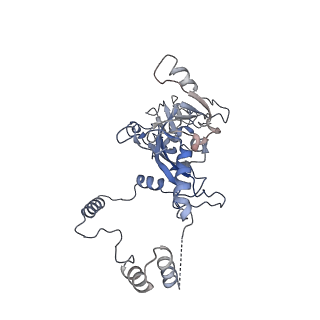 33477_7xur_B_v1-0
The cryo-EM structure of human mini-SNAPc in complex with hU6-1 PSE